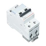 Legrand Monofaze 2X25A B Tipi Otomatik Sigorta - 1