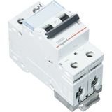 Legrand Monofaze Nötr Kesmeli 2X6A C Tipi Otomatik Sigorta 6ka 403676 - 6 A