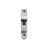 Legrand Otomatik Sigorta 10 A B Tipi 1 Kutup