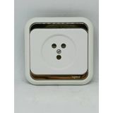 Legrand Telefon Prizi