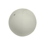 Leitz 65430085 Ergo Active 75 cm Açık Gri Kaymaz Oturma Topu