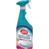 Leke ve Koku Giderici - Bahar Esintisi - 750 ml