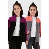 Lela Yumuşak Dokulu Fermuarlı Renk Bloklu Dik Yaka Cepli 2'li Paket Hırka Polar Çocuk POLAR 5905001S2 - Mor - Gri - 11 - 12 Yaş