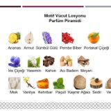 Lelas 1903 Motif 250 Ml Kadin Erkek Vucut Losyonu 8681124619037