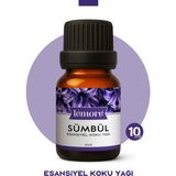 Lemore Sümbül Koku Yağı Buhurdanlık Yağı Difüzör Esansı Küre