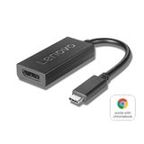 Lenovo 4X90Q93303 USB-C to DisplayPort Adaptör