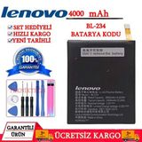 Lenovo BL234 P90 Orijinal Batarya