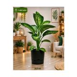 leogarden Saksı Begonya 9 Lt Antrasit Tabaklı Saksı (LEOFLOWERS ÜRÜNÜ)ağız Çapı 24.5 Cm Yükseklik 23 Cm