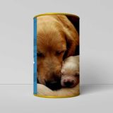 Leons Puppy Süt Tozu 200 gr - 1 Adet - Çok Renkli