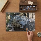 Leopar - Büyük Kedi Tasarımı 240 Parça Ahşap Puzzle Ahşap Kutuda MP05200