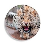 Leopar Cam Saat - 40 cm