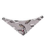 Lepus Fularlı Köpek Boyun Tasması No:1 Small