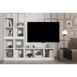 Leron Raflı Kitaplıklı Tv Ünitesi Beyaz 165 Cm Tv 1209