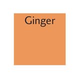 Letraset O136 Promarker Ginger Çizim Kalemi