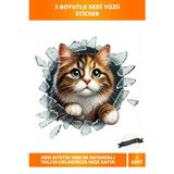 Letsii 3D Kedi Yüzü Eğlenceli Araç Stickerı 10 cm