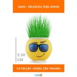 Letsii Eğlenceli Emoji Figürlü Çim Adam Saksı 5,5 cm