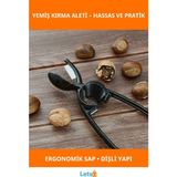 Letsii Ergonomik 2'si 1 Arada Kestane Çizici ve Ceviz Kıracağı - Çok Renkli