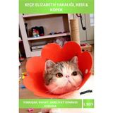 Letsii L Boy Keçe Elizabeth Yakalığı Büyük Kedi ve Köpekler Için Ameliyat Koruyucu Yaka - Çok Renkli - Evcil Hayvan Sağlık