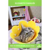 Letsii M Beden Keçe Elizabeth Yakalığı Kedi Köpek Koruyucu Boyunluk - Çok Renkli - Evcil Hayvan Sağlık