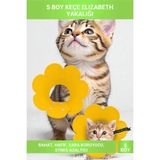 Letsii S Boy Keçe Elizabeth Yakalığı Yavru Kedi ve Küçük Irklar Için Koruyucu Yaka - Çok Renkli - Evcil Hayvan Sağlık