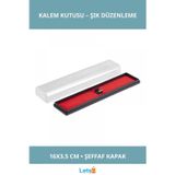 Letsii Şeffaf Kapaklı Dayanıklı Plastik Hediyelik Kalem Kutusu 16 cm