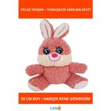 Letsii Yumuşak Peluş Tavşan 30 cm Çocuklar İçin Sevimli Oyuncak