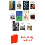 Lev Tolstoy 11 Kitap Seti + Türk Klasiği Hediye