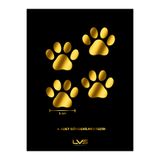 levvas Kedi Pati Sticker 20 adet pati 5 cm Motosiklet, JDM, Otomobil,Bisiklet, Leptop