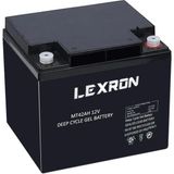 Lexron Akü 12V 42A Jel Elektrikli Araç Aküsü (197X165X172MM) LEXRON-MT42