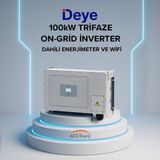 Lexron Deye 100KW On-Grid Trifaze Invertör - Siyah
