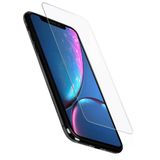 Lexroo Galaxy S24 Plus Parmak İzi Tanıma Özellikli Maxi Slim Temperli Cam Ekran Koruyucu
