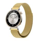 Lexroo Huawei Gt4 41Mm 18Mm Metal Hasır Kordon - Gold
