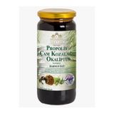 lexton Propolis & Çam Kozalağı Ve Okliptüs Katkılı Harnup Özü 310 gr