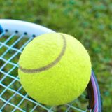 Leyaton 1 Adet Sarı Tenis Topu Antrenman Tenis Topu - Renkli
