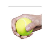 Leyaton 1 Adet Sarı Tenis Topu Antrenman Tenis Topu TPW-001, Tek Ebat, TPW-001, SARI