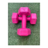 Leyaton 1 Kg Dambıl Seti 2 Adet Pembe Ağırlık Seti, PİNK