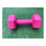 Leyaton 1 kg Pembe Dambıl Seti Ağırlık Seti