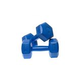 Leyaton 1 Kg X 2 Adet Fitness Dambıl Ağırlık Seti