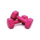 Leyaton 1 Kg X 2 Adet Fuşya Dambıl Ağırlık Kondisyonu