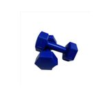 Leyaton 1 Kg X 2 Kg Plastik Lacivert Dambıl Seti
