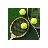Leyaton 2 Adet Sarı Tenis Topu Antrenman Tenis Topu TPW-002, Tek Ebat, TPW-002, SARI
