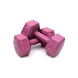 Leyaton 2 kg Dambıl Seti Ağırlık Seti 2 kg 2 Adet( Pembe ) - 2 kg x 2 Adet