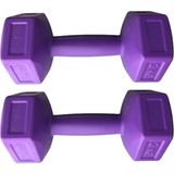 Leyaton 2 kg x 2 Adet Dambıl Vinyl Kaplı Dumbell Ağırlık - Mor