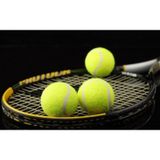 Leyaton 3 Adet Antrenman Tenis Topu Sarı