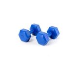 Leyaton 3 Kg Ağırlık Seti 3 Kg X 2'li = 6 Kg Dumbell Set Dambıl Set Mavi, PRA-646666-7847P