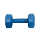 Leyaton 3 kg Mavi Tek Dambıl