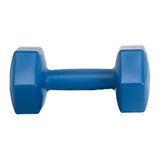 Leyaton 4 kg Tek Mavi Pilastik Dambıl Set