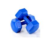 Leyaton 5 Kg Dambıl Ağırlık Seti 5 Kg X 2 Adet=10 Kg Dambıl Köşeli Dumbell Set