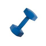 Leyaton 6 kg Mavi Dambıl Seti