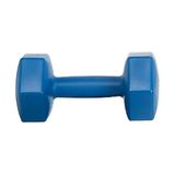 Leyaton 6 kg Mavi Tek Dambıl